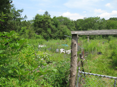 community garden plots
