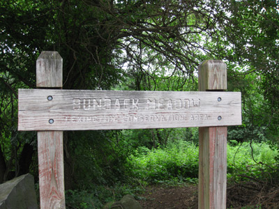 the sign marking the entrance on Allen Street