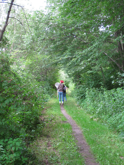 the trail leading down from Allen Street