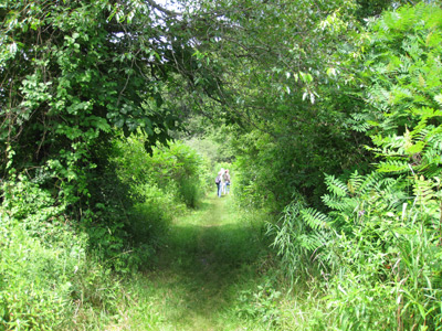 dunback meadow trail