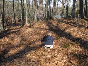 the boy and the trail